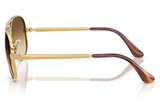 RAY-BAN Sunglasses RB3925