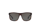 Gucci Sunglasses GG0010S