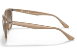 Ray-Ban Sunglass RB4362 (Pre_Booking)