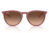 RAY-BAN Sunglasses RB4171