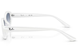 Ray-Ban Sunglass RB4473D (Pre_Booking)