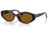 Ray-Ban Sunglass RB4473D (Pre_Booking)