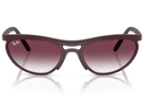 Ray-Ban Sunglass RB4453 (Pre_Booking)