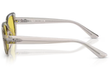Ray-Ban Sunglass RB4421D (Pre_Booking)
