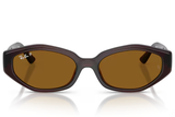 Ray-Ban Sunglass RB4473D (Pre_Booking)