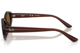 Ray-Ban Sunglass RB4473D (Pre_Booking)