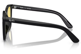 Ray-Ban Sunglass RB4401D (Pre_Booking)