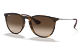 RAY-BAN Sunglasses RB4171
