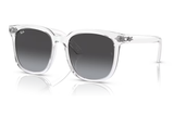 Ray-Ban Sunglass RB4401D (Pre_Booking)