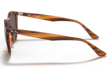 Ray-Ban Sunglass RB4306 ( Pre_Booking)