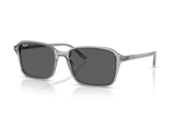 Ray-Ban Sunglass RB2231 (Pre_Booking)