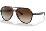 Ray-Ban Sunglass RB4376 (Pre_Booking)