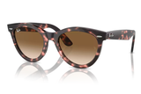 Ray-Ban Sunglass RB2241 (Pre_Booking)