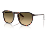 Ray-Ban Sunglass RB2203 (Pre_Booking)