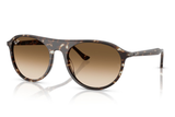 Ray-Ban Sunglass RB2215 (Pre_Booking)