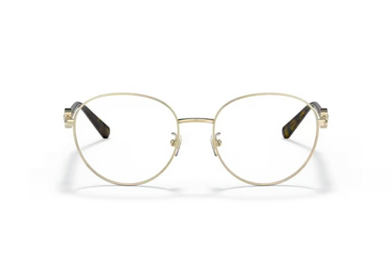 Versace Frame VE1273D