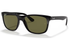 Ray-Ban  SUNGLLASSES RB4181