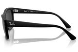 Ray-Ban Sunglass RB4428 (Pre_Booking)