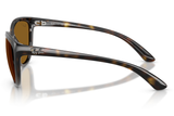 Ray-Ban Sunglass RB4167( Pre_Booking)