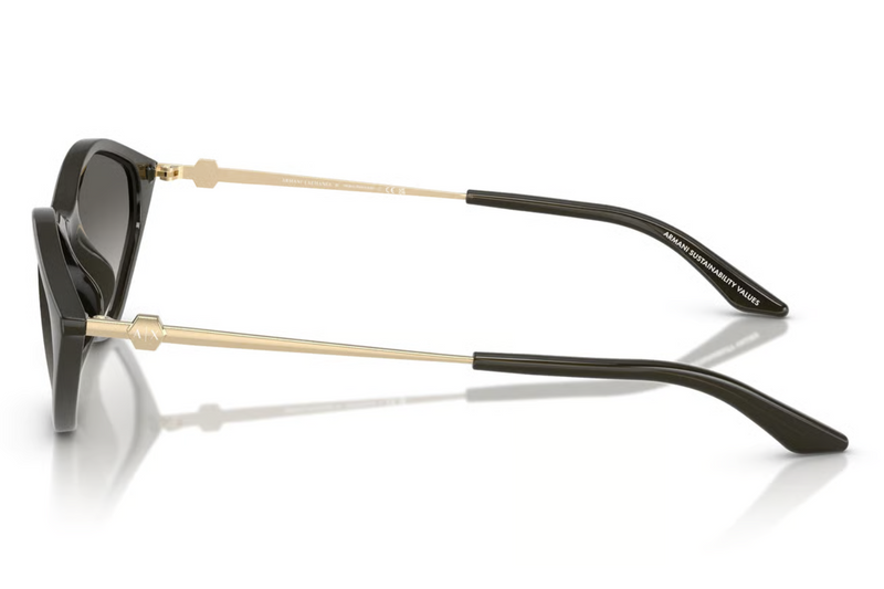Armani Exchange Sunglasses AX4152SU