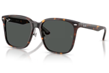Ray-Ban Sunglass RB2206D (Pre_Booking)