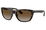 Ray-Ban Sunglass RB4154 (Pre_Booking)