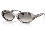 Ray-Ban Sunglass RB2223 (Pre_Booking)