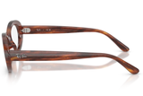 Ray-Ban FRAME RX2223V