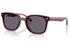 Ray-Ban Sunglass RB4465I (Pre_Booking)
