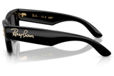 Ray-Ban Sunglass RB4940KG (Pre_Booking)