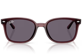 Ray-Ban Sunglass RB4465I (Pre_Booking)