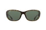 RAY-BAN Sunglasses RB4174