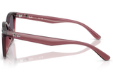 Ray-Ban Sunglass RB4465I (Pre_Booking)