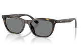 Ray-Ban Sunglass RB4474D (Pre_Booking)