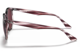 Ray-Ban Sunglass RB4306 ( Pre_Booking)
