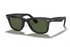 Ray-Ban Sunglass RB2140 (Pre_Booking)