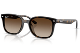 Ray-Ban Sunglass RB4465I (Pre_Booking)