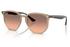 Ray-Ban Sunglass RB4306 ( Pre_Booking)