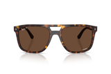 Ray-Ban Sunglass RB2213CH (Pre_Booking)