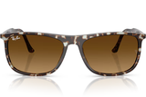 Ray-Ban Sunglass RB2216 (Pre_Booking)