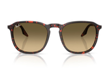 Ray-Ban Sunglass RB2203 (Pre_Booking)