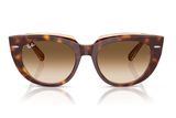 Ray-Ban Sunglass RB2286 (Pre_Booking)