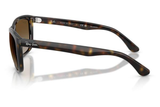 Ray-Ban Sunglass RB4154 (Pre_Booking)