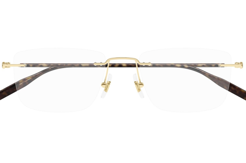 Mont Blanc Frame MB0431O