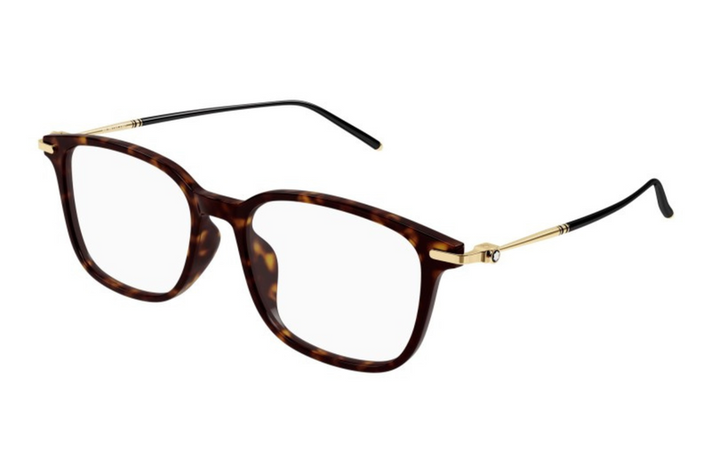 Mont Blanc Frame MB0413OA