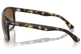 Ray-Ban Sunglass RB4547 (Pre_Booking)