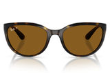 Ray-Ban Sunglass RB4167( Pre_Booking)