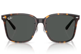 Ray-Ban Sunglass RB2206D (Pre_Booking)