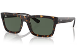 Ray-Ban Sunglass RB4396 (Pre_Booking)