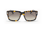 David Jones Sunglasses 0355